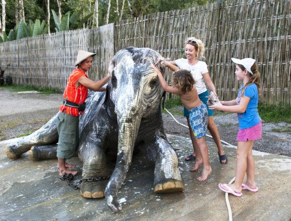 Dyreplageri eller ikke? Thailand_elefant_02