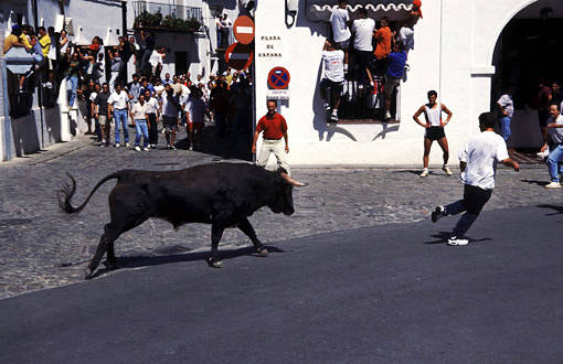 EU's regelverk verner om både tyrefektig (corrida) og såkalte okseløp (encierro).