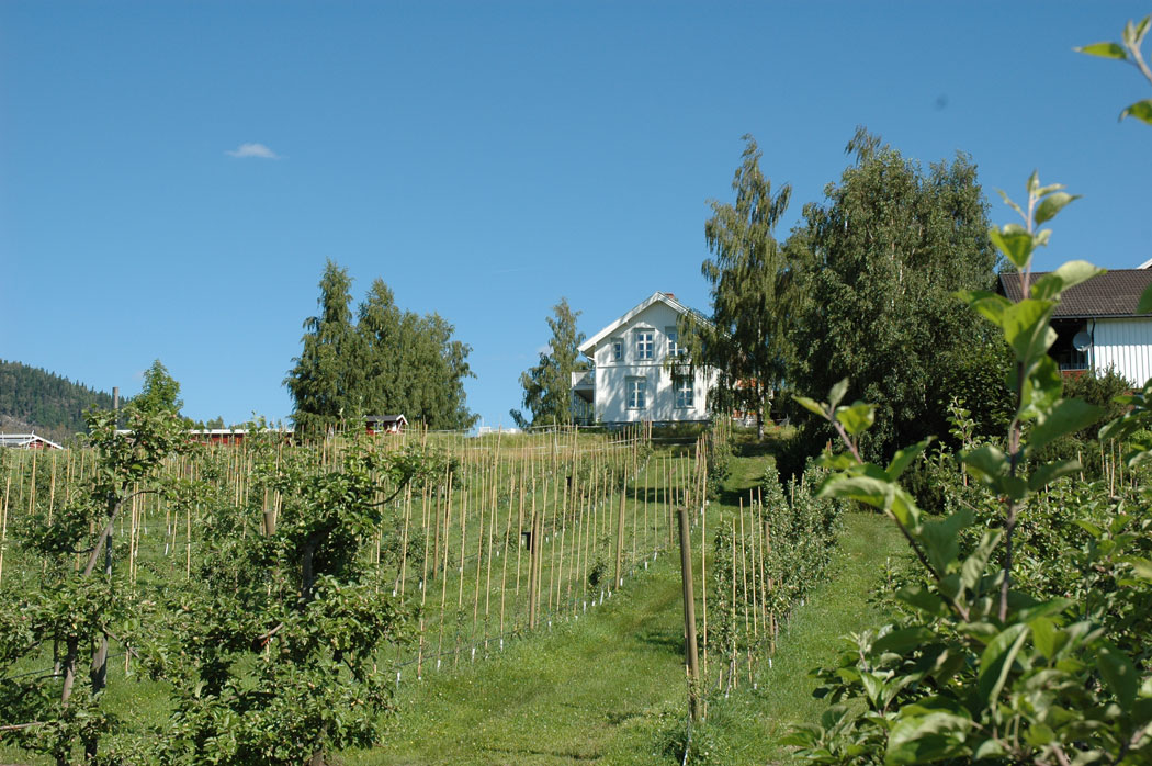 Egge gård 1050