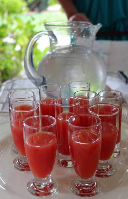 Tomatjuice i Provence, rett fra grønnsakshagen.