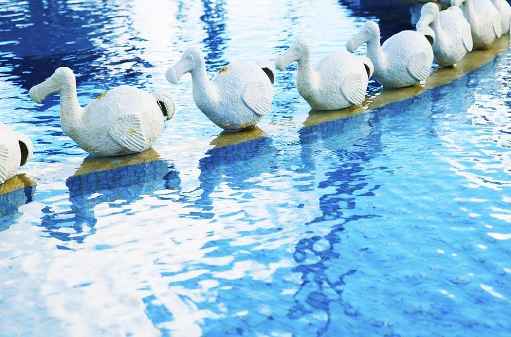 Mauritius_dodo_05