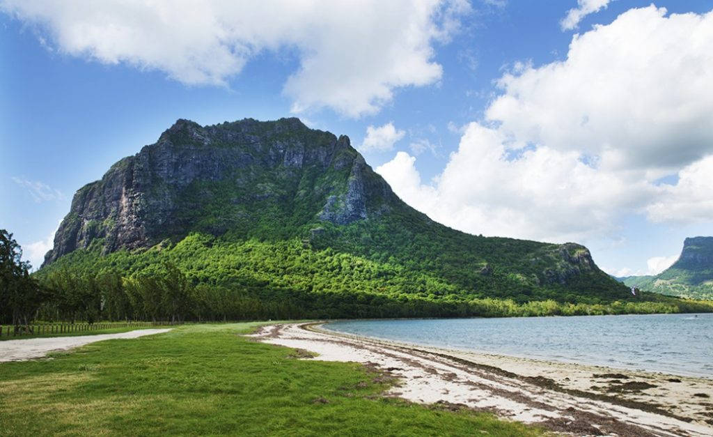 Mauritius_dodo_06