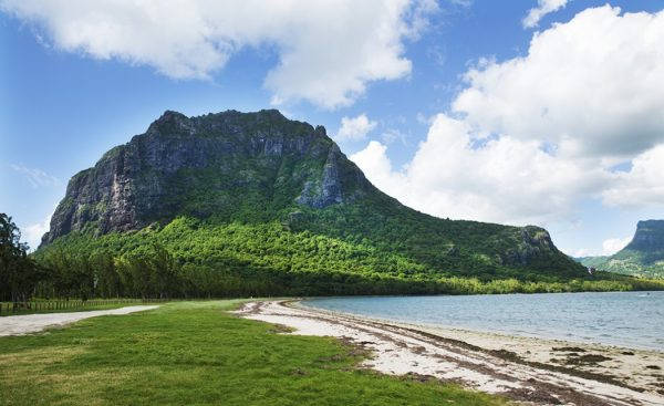 Mauritius_dodo_06