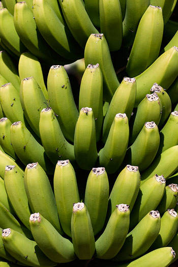 Banan