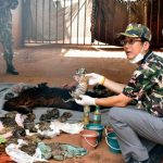 sondag_tiger_temple_Foto_EPA