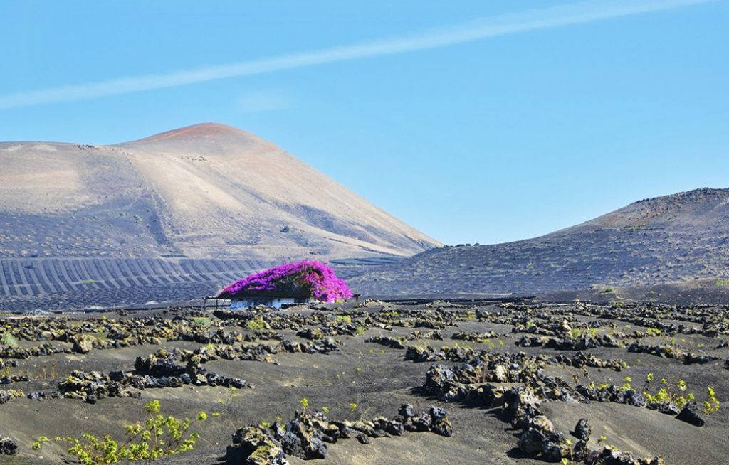 Lanzarote_01