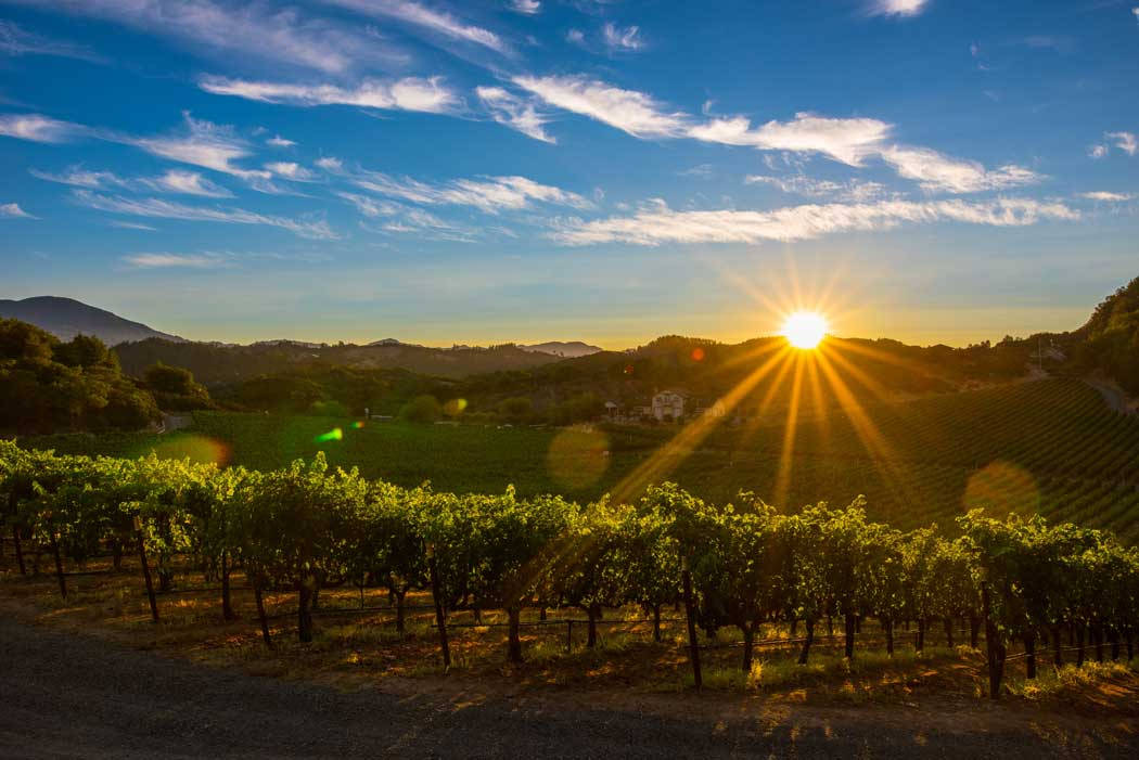 Napa-Valley-landskap-foto-Bob-McClenahan
