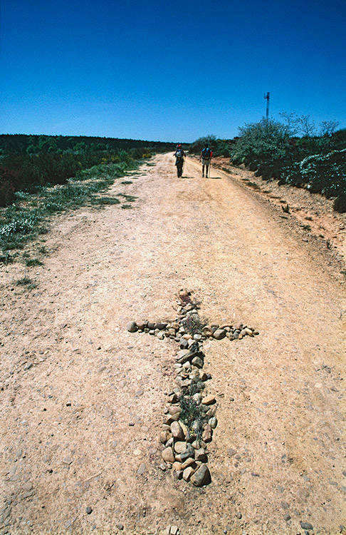camino_25
