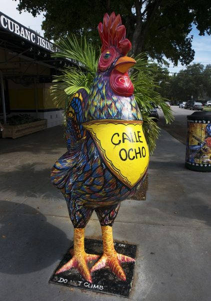 little-havana-miami_4