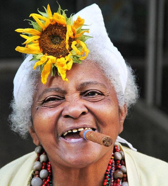 Cuba_Olivenreiser