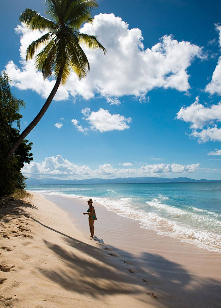 Guadeloupe strand