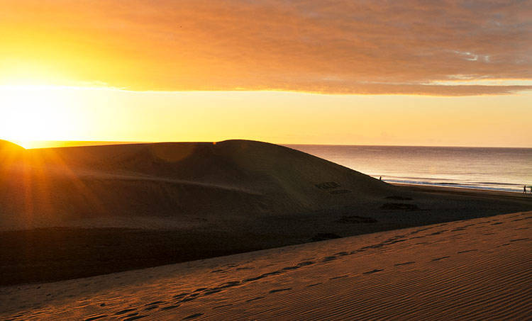 Gran Canaria sanddyner Maspalomas