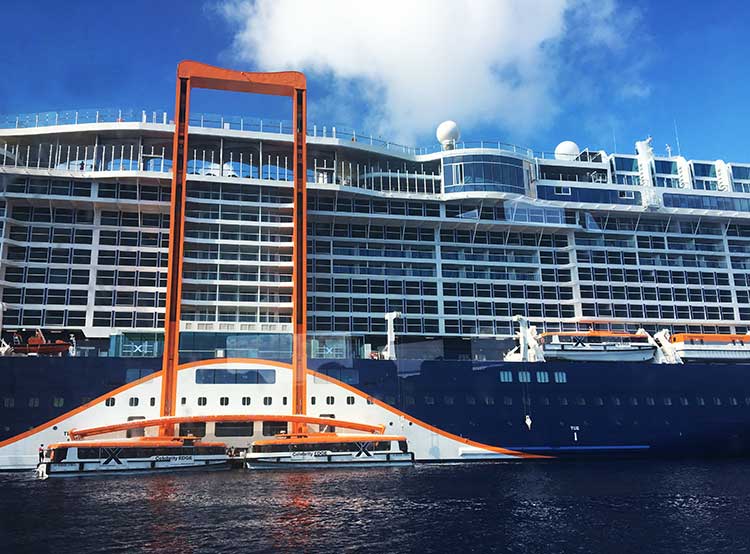 Celebrity Edge Magic Carpet