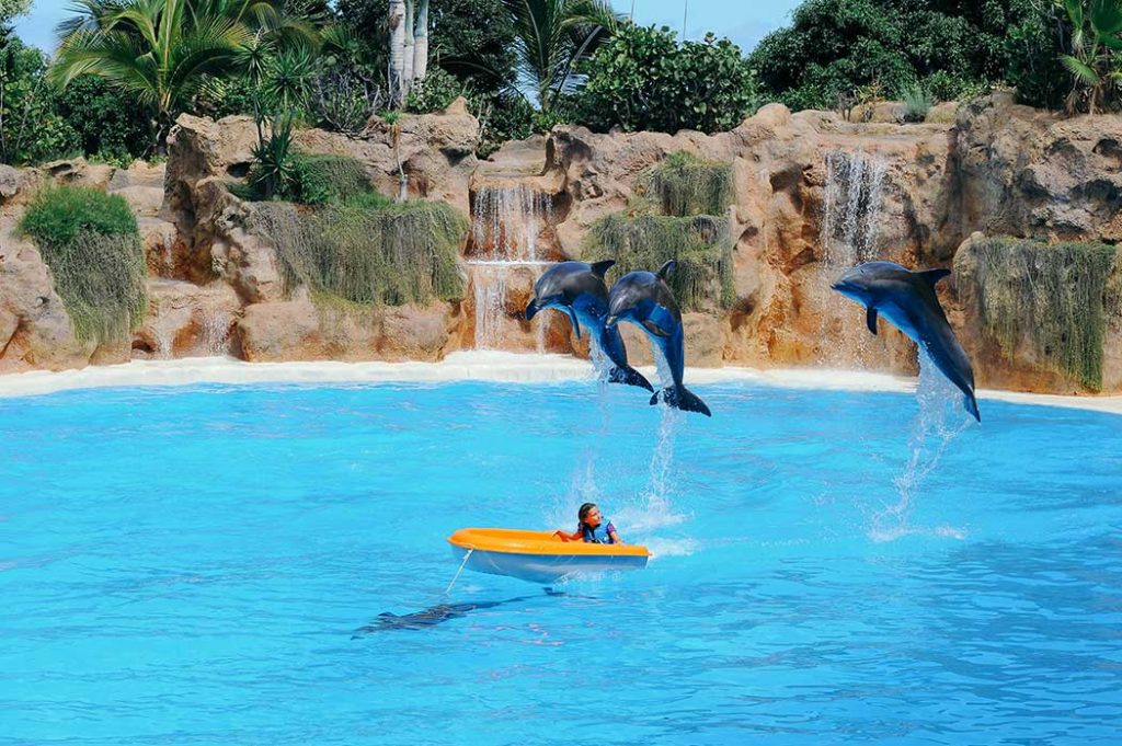 Er Loro Parque på Tenerife bra