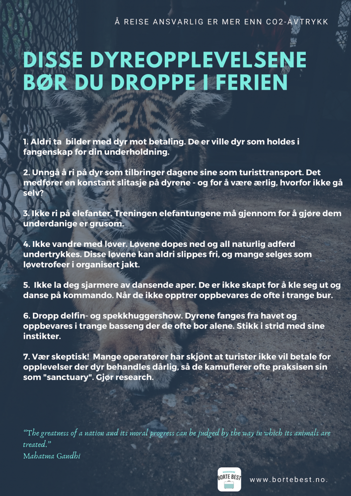 Dyreopplevelser å unngå