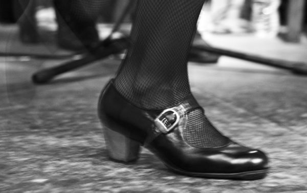 Flamenco Spania