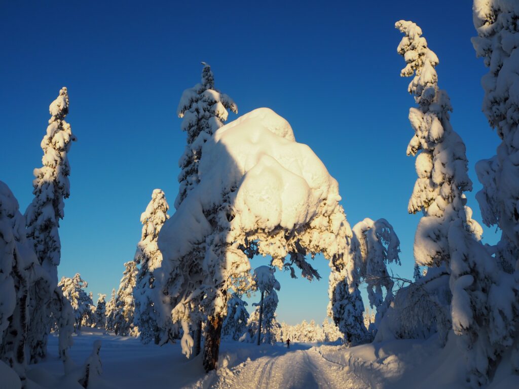 Nordmarka nord for Løvlia
